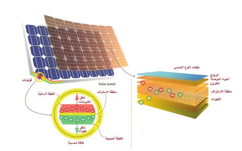 أي من العوامل التالية تعتمد عليه كمية الكهرباء المولدة من الخلايا الشمسية؟ أي من العوامل التالية تعتمد عليه كمية الكهرباء المولدة من الخلايا الشمسية؟