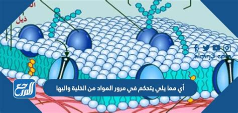 أي من العوامل التالية يتحكم في مرور المواد داخل وخارج الخلية؟ أي من العوامل التالية يتحكم في مرور المواد داخل وخارج الخلية؟