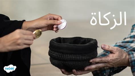 أي من الفئات التالية يدخل في اسم الماشية التي تجب فيها الزكاة؟ أي من الفئات التالية يدخل في اسم الماشية التي تجب فيها الزكاة؟