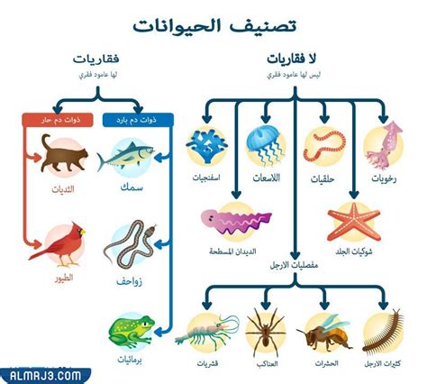 أي من الفقاريات التالية يتنفس برئتيها وجلدها؟