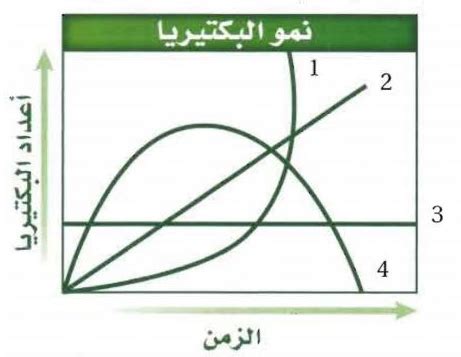 أي منحنى في هذا الشكل هو تمثيل أكثر دقة لمعدل نمو البكتيريا في ظل الظروف المثلى؟ أي منحنى في هذا الشكل هو تمثيل أكثر دقة لمعدل نمو البكتيريا في ظل الظروف المثلى؟