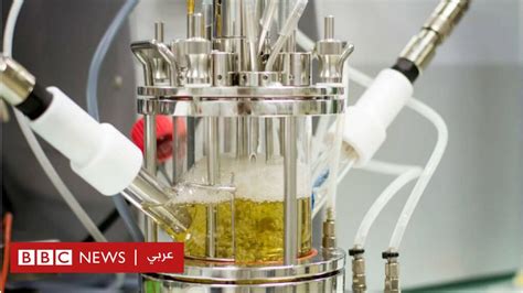 إجابة سؤال النفايات الفطريات والبكتيريا التي تتغذى على البلاستيك والتي يمكن أن تنقذ العالم