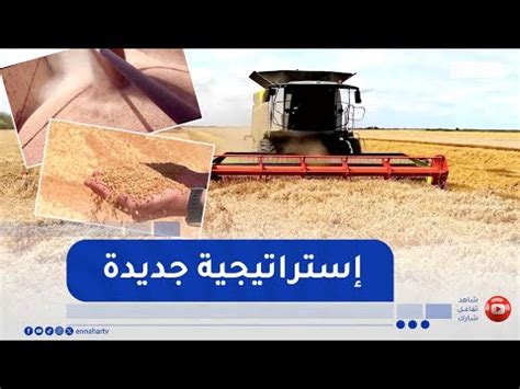 إجابة صحيحة العمر الافتراضي للقمح دون إفساد - موقع القلعة
