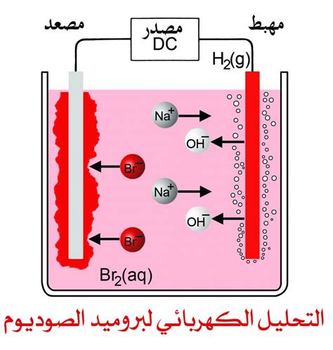 إجابة على سؤال: إذا كان التحليل الكهربائي لمحلول كلوريد النيكل nicl2، فما العناصر التي يكشف عنها هذا التحليل؟