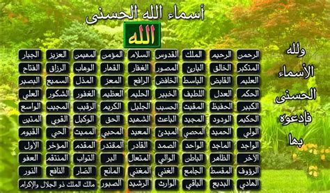 إن أسماء الله الحسنى هي أفضل الأسماء وأكملها، وقد حققت الخير الكامل، صوابًا كان أم خطأ