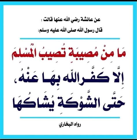 إن الفصل مجلس علم وتعليم، وبعض الطلاب -هداهم الله- خرجوا ببعض الأخطاء والمخالفات المصاحبة له.  أكتب هذه الانتهاكات مع مجموعتي