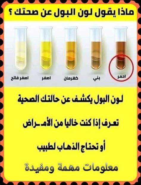 إن تجنب البول وإبعاده عن الملوثات التي تضر بالجسم والملابس هي بعض أنواع التطهير