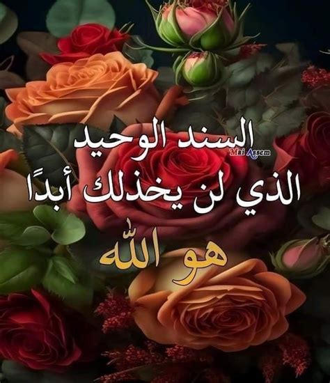 إنه إقرار بأن الله سبحانه وتعالى هو رب الجميع ومالكهم وخالقهم ومزودهم ومراقبهم