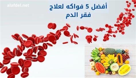 إنها المغذيات التي يجب الحصول عليها لعلاج فقر الدم