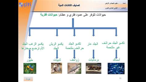 إنها صفات موروثة ناتجة عن تغيير في بنية جسم الكائن الحي ليناسب الوظيفة التي يؤديها ويحافظ على بقاء الأنواع.