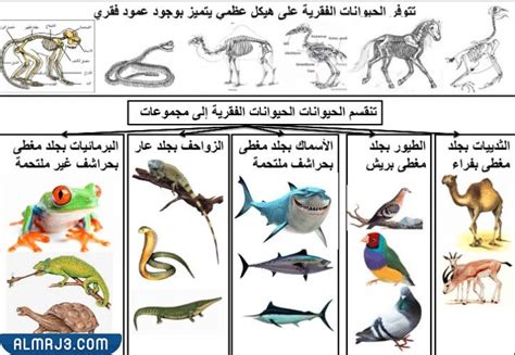 اذكر الأنواع المختلفة والنسبة المئوية لكل نوع مسمى في المجتمع البيولوجي.  تشغيل