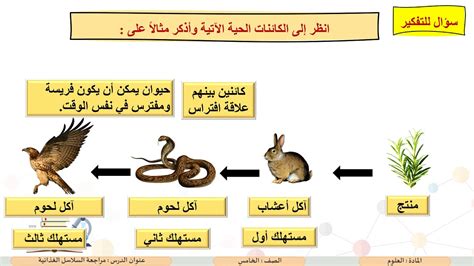 اذكر الفرق بين المنتجات والمستهلكين وقدم ثلاثة أمثلة لكل منهما