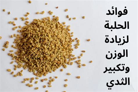 استخدام الحلبة مع دبس السكر الأسود لزيادة الوزن