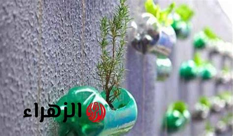 استخدامات أخرى للزجاجات البلاستيكية