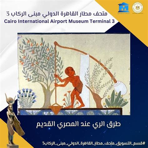 استخدم المزارعون في العصر الأموي طريقة بوتبور للزراعة استخدم المزارعون في العصر الأموي طريقة بوتبور للزراعة
