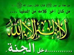 استفد من اقتصار نفسك على ذكر كلمة التوحيد وإزالة الضرر