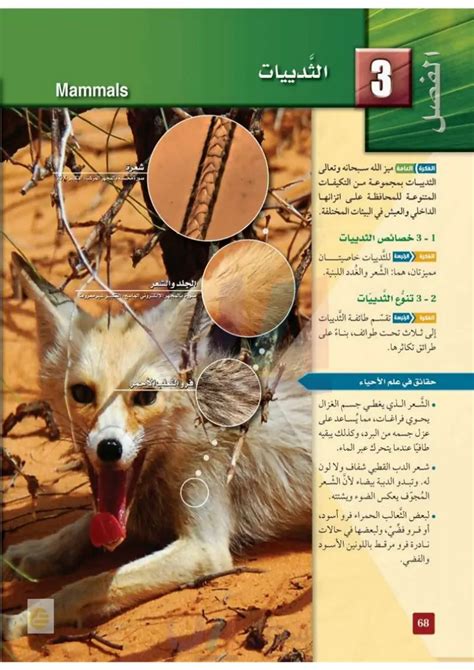 استنتج كيف استخدم العلماء خصائص الثدييات المختلفة لتصنيفها إلى فئات فرعية؟