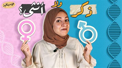 اسم برادي إما ذكر أو أنثى