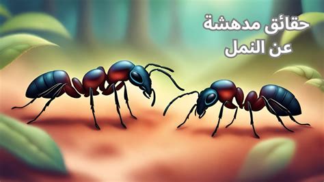 اشرح أن عمال نمل الصنوبر العظيم يقومون بعمل الجنود الذين اشرح أن عمال نمل الصنوبر العظيم يقومون بعمل الجنود الذين