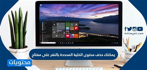 اشرح أنه يمكنك حذف محتويات الخلية المحددة بالضغط على الزر.  انقر