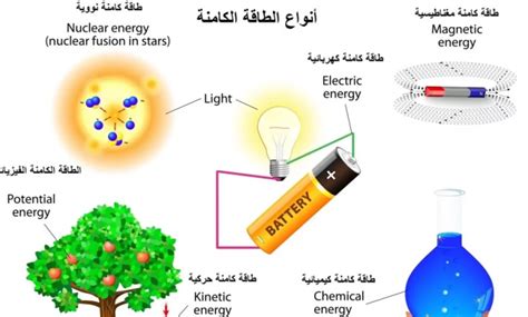 اشرح أي الطاقات التالية هي مجموع الطاقة الكامنة والحركية.