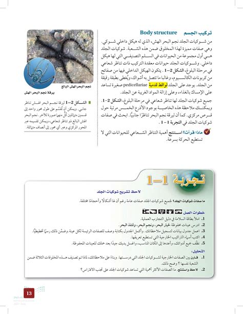 اشرح الخصائص الخارجية لشوكيات الجلد، لماذا توضع هذه المخلوقات الثلاثة في نفس القبيلة؟