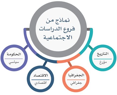 اشرح الطلاب الذين يكملون فروع العلوم الاجتماعية في الشكل أدناه؟