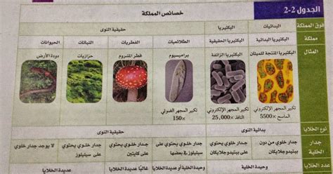 اشرح الفرق بين مملكة الطلائع ومملكة الفطر من حيث المواد التي يتكون منها جدار الخلية