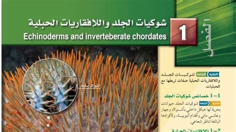 اشرح الميزات الرئيسية التي تساعد شوكيات الجلد على تجنب الافتراس؟ اشرح الميزات الرئيسية التي تساعد شوكيات الجلد على تجنب الافتراس؟