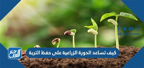 اشرح كيف تساعد الدورة الزراعية في الحفاظ على التربة