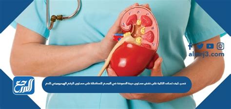 اشرح كيف تساعد الكلى على خفض درجة الحموضة في الجسم للحفاظ على الرقم الهيدروجيني للدم