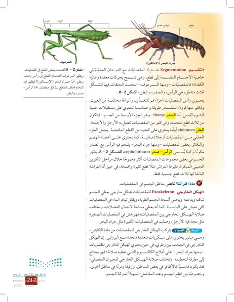 اشرح كيف تساعد المفصليات في تحسين النظام البيئي للتربة.