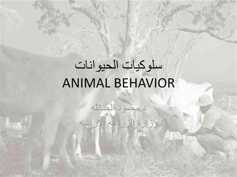 اشرح كيف يرتبط سلوك الحيوان بالبقاء والنجاح في الإنجاب.