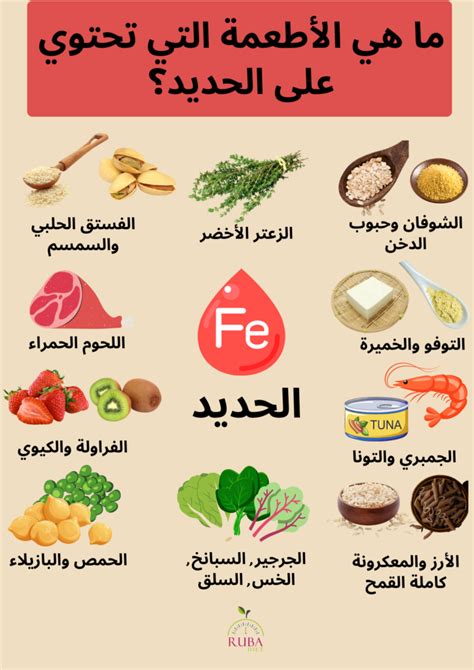 اشرح لماذا تحتاج النساء إلى المزيد من الحديد في نظامهن الغذائي أكثر من الرجال؟