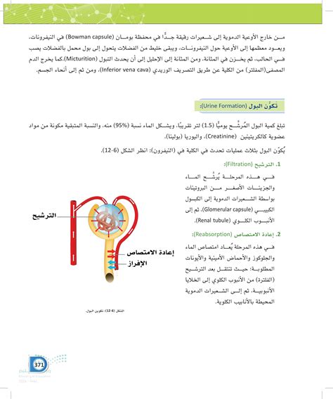 اشرح لماذا يعتبر الجهاز الدوري آلية جديدة لحمل الهرمونات في جميع أنحاء الجسم؟ اشرح لماذا يعتبر الجهاز الدوري آلية جديدة لحمل الهرمونات في جميع أنحاء الجسم؟