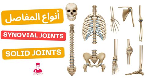 اشرح ما هي أنواع المفاصل التي تسمح للساقين والذراعين بالتحرك في جميع الاتجاهات؟ اشرح ما هي أنواع المفاصل التي تسمح للساقين والذراعين بالتحرك في جميع الاتجاهات؟