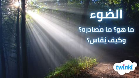 اعتقد الفلاسفة اليونانيون أن مصدر أشعة الضوء هو أعيننا.  إذن ما هو الدليل على أن هذه النظرية خاطئة؟