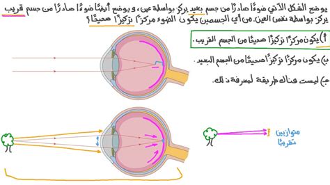 اعتقد الفلاسفة اليونانيون أن مصدر أشعة الضوء هو عيوننا، وهذا دليل على خطأ النظرية