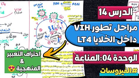 افترض وتطوير تقنية لإبطاء أو إيقاف تكاثر فيروس الدودة؟