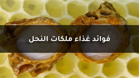 الآثار الجانبية لاستخدام حبوب غذاء ملكات النحل
