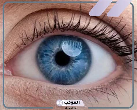 الأحذية الزرقاء في المنام، الفاتحة أو الداكنة للعزاب وغير الاحتفالات، فسر ابن سيرين رؤية الحالم للأحذية الزرقاء بشكل عام كدليل على وجود حالة من الاستقرار والسلام والهدوء في حياة الرائي.