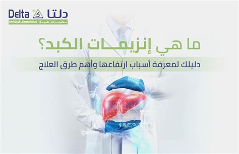 الأسباب الرئيسية لارتفاع إنزيمات الكبد