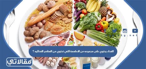 الأطعمة التي تحتوي على مجموعة من الأطعمة التي تحتوي على مغذيات الأطعمة التي تحتوي على مجموعة من الأطعمة التي تحتوي على مغذيات