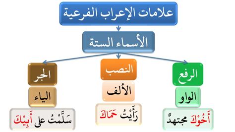 الأفعال الأخرى المزعجة للمعاقين وحالات الإعراب