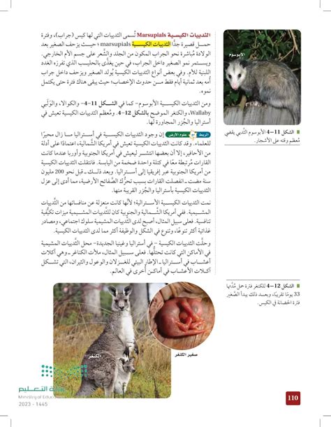 الإجابة على سؤال علم الأحياء الكتابي يعتقد بعض الناس خطأً أن الثدييات الكيسية أقل تعقيدًا من الثدييات المشيمية.  حلل هذا الاعتقاد ثم اشرحه