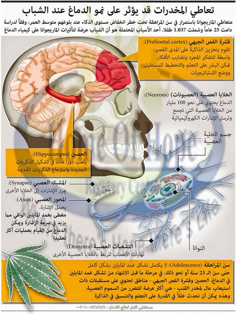الإدمان هو حالة نفسية تنتج فقط من تفاعل الشخص مع المخدرات الإدمان هو حالة نفسية تنتج فقط من تفاعل الشخص مع المخدرات