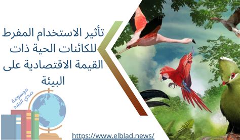الإفراط في استخدام الأنواع ذات القيمة الاقتصادية