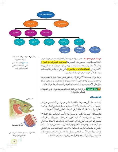 الإنسان هو أحد تلك المخلوقات ذات درجة حرارة ثابتة، صواب أو خطأ