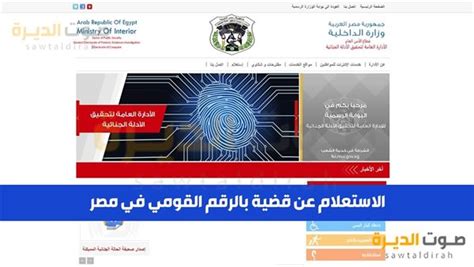 الاستفسار عن حالات بالرقم القومي في مصر عبر بوابة الحكومة المصرية