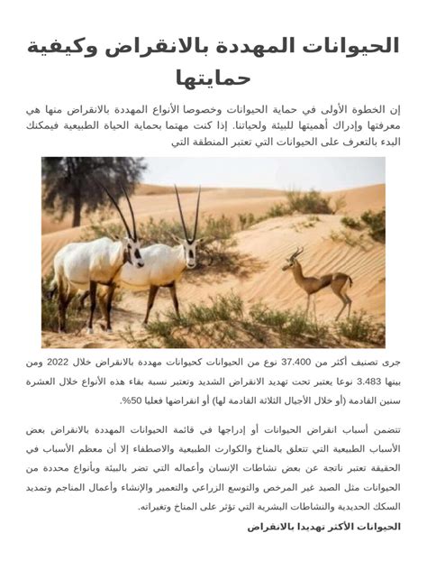 البحث عن الحيوانات المهددة بالانقراض وكيفية حمايتها
